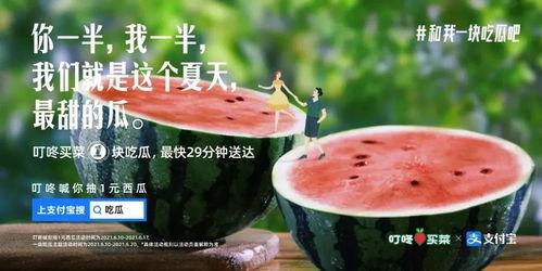娱乐吃瓜文案怎么弄,吃瓜群众背后的故事